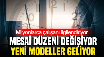 OVP'de esnek çalışma: 'Güvenceli esneklik' uyarısı