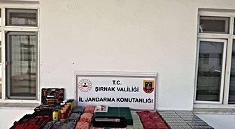 Şırnak'ta kaçakçılık ve asayiş operasyonlarında 196 şüpheli hakkında işlem yapıldı