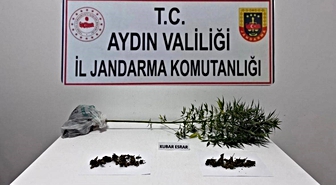 Söke’de narkotik köpeği destekli operasyonda uyuşturucu madde ele geçirildi