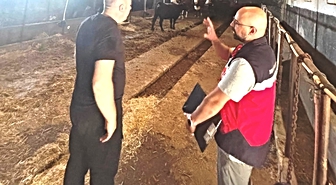Tavşanlı'da İthal Hayvanların Sağlık Kontrolleri Yapıldı