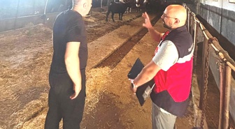 Tavşanlı'da İthal Hayvanların Sağlık Kontrolleri Yapıldı