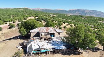 Tunceli'de ayı ahıra girdi: 11 küçükbaş hayvan telef oldu