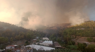 Antalya Kumluca'da orman yangını