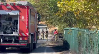 Beylikdüzü'nde otluk alanda çıkan yangın minibüse sıçradı
