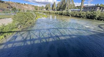 Debisi düşen Ardahan'daki Kura Nehri yosunla kaplandı