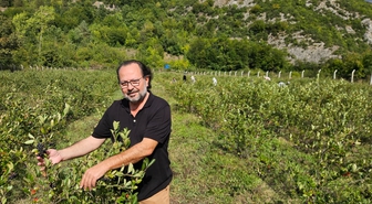 Kastamonu'da aronya hasadı yapıldı
