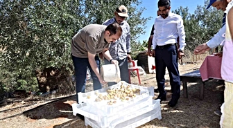 Kaymakam Battal, incir hasadında üreticilerle bir araya geldi