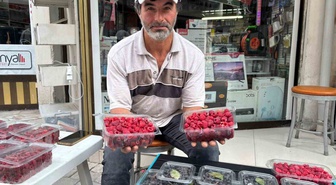 Kıraç arazileri aronya ve ahududugil yetiştirerek değerlendirdi