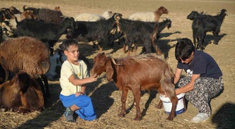 Köyde berivan, pistte şampiyon
