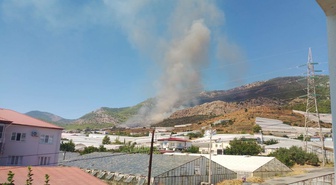 Mersin’de orman yangını