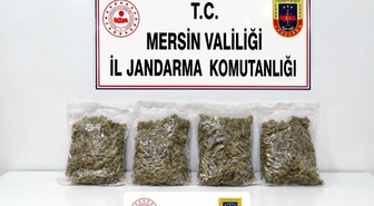 Mersin’de uyuşturucu operasyonu: 2 gözaltı