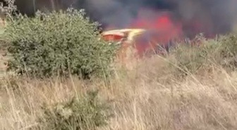 Park halindeki otomobilden çıkan yangın otluk alana sıçradı