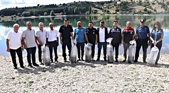Taşova'da Uluköy Barajı'na 75 bin sazan yavrusu bırakıldı