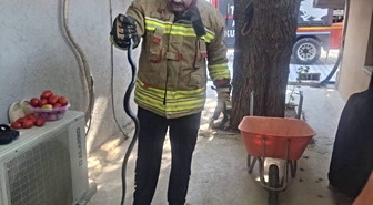 Antakya’da eve giren yılan ekipler tarafından yakalandı