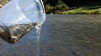 Ardahan’da 300 bin yavru sazan balığı nehre bırakıldı