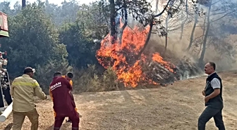 DMM'den orman yangınlarıyla ilgili iddialara yalanlama: Tamamen asılsız