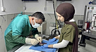 Sekizinci kattan düşerek bacakları kırılan kedi, başarılı operasyon sayesinde 4 günde yürümeye başladı