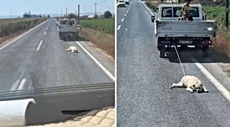 Köpeği kamyonetin arkasına bağlayıp sürükleyerek götürdü