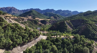 Tunceli’de hayvancılık yapan köylüler, artan ayı saldırılarından şikayetçi