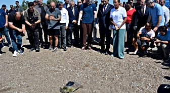 Yeşil deniz kaplumbağası 'Hanzala', uydu cihazıyla Akdeniz'e gönderildi
