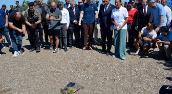 Yeşil deniz kaplumbağası 'Hanzala', uydu cihazıyla Akdeniz'e gönderildi