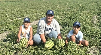 Amik Ovası’nda ata tohumuyla üretimi yapılan karpuzda bu yıl rekolte 2 kattan daha fazla arttı