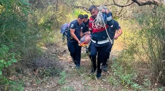 Defne’de ağaçtan düşen vatandaş yaralandı