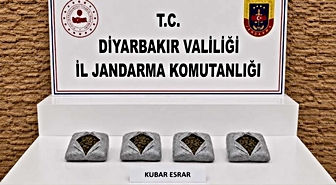 Diyarbakır’da 187 bin 391 kök kenevir, 25 buçuk kilo esrar ele geçirildi