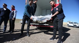 Kars'taki Bayburt Barajı'na 500 bin balık yavrusu bırakıldı