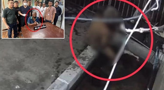 Komşusunun balığına istismarda bulundu! Verdiği ifade polisleri bile şaşkına çevirdi