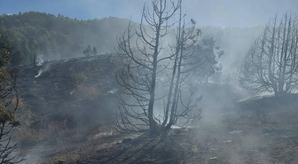 Giresun'da yaylada çıkan örtü yangınında 1 kişi yaralandı
