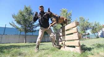 Narkotik köpeği 'Zeus' hassas burnuyla uyuşturucu zulalarını buluyor