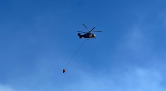 Uşak'ta meşelik alanda çıkan yangın kontrol altına alındı