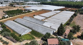 Antalya'da 200 bin dekarlık alandaki seralarda dönüşüm hamlesi