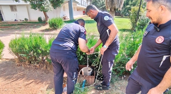 Kuyuya düşen yavru kediyi itfaiye ekibi kurtardı