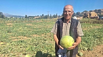 Manisalı çiftçi dede mirası ata tohumu karpuz geleneğini sürdürüyor