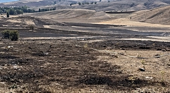 Tokat'ta çıkan anız yangınında 20 dönümlük alan zarar gördü