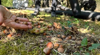 Düzce’de tarımsal üretim sahada yakından takip ediliyor