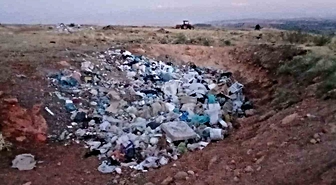 Köylünün çöp tepkisi: 'Bu sene iki danamız telef oldu'