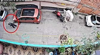 Bursa'da tepki çeken görüntü! Kucağındaki kediyi kafasından tutup yere vurdu