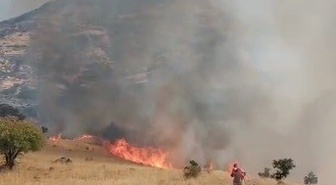 Nazımiye’de orman yangınına havadan ve karadan müdahale