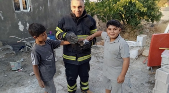 Şanlıurfa'da foseptik çukuruna düşen kedi itfaiye ekiplerince kurtarıldı