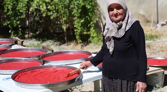 Yazlıkçıların kış hazırlığı: Domates salçası tepsilerde güneşte olgunlaşıyor