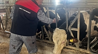 Baklan’da sonbahar dönemi şap aşılamaları başladı