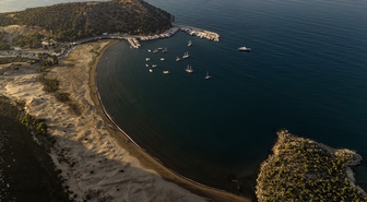 Kaplumbağa 'Mahmut' ile serbest dalıcının sıra dışı dostluğu