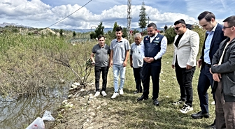 Sinop'ta göletlere 2 bin sazan yavrusu salındı