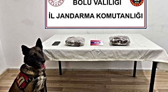 TEM’de yolcu otobüsünde 810 gram esrar ele geçirildi; 1 tutuklama