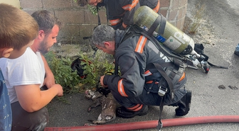 Sakarya'da yangında dumandan etkilenen kediye kalp masajı yapıldı, kurtarılamadı