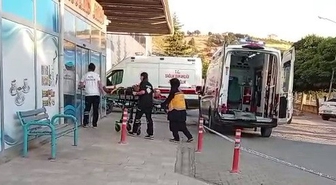 Ceviz ağacından düşen kişi yaralandı
