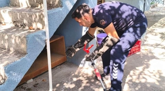 İskenderun’da evin içerisinde görülen yılan yakalandı